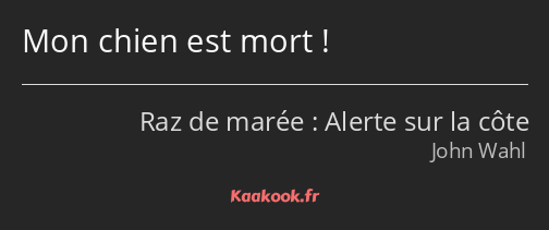 Mon chien est mort !