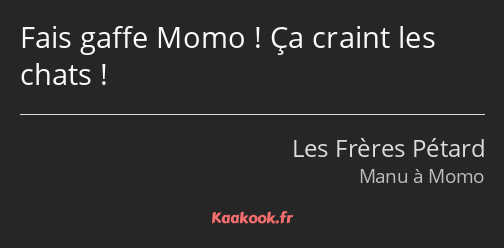Fais gaffe Momo ! Ça craint les chats !
