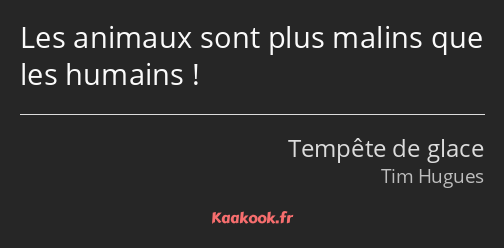 Les animaux sont plus malins que les humains !