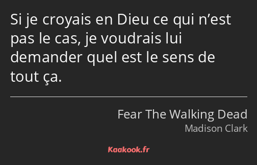 Si je croyais en Dieu ce qui n’est pas le cas, je voudrais lui demander quel est le sens de tout ça.