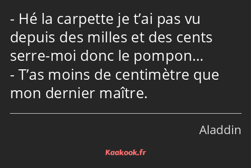 Hé la carpette je t’ai pas vu depuis des milles et des cents serre-moi donc le pompon… T’as moins…