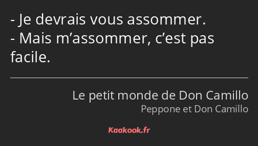Je devrais vous assommer. Mais m’assommer, c’est pas facile.