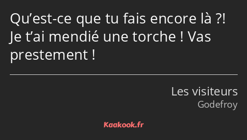 Qu’est-ce que tu fais encore là ?! Je t’ai mendié une torche ! Vas prestement !
