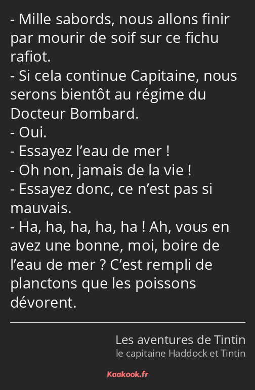 Mille sabords, nous allons finir par mourir de soif sur ce fichu rafiot. Si cela continue Capitaine…