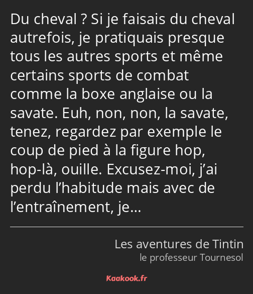 Du cheval ? Si je faisais du cheval autrefois, je pratiquais presque tous les autres sports et même…