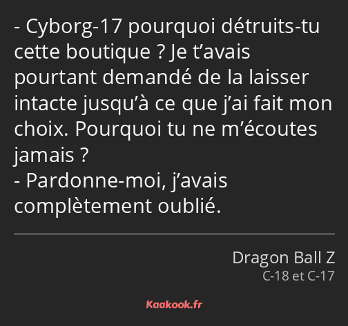 Cyborg-17 pourquoi détruits-tu cette boutique ? Je t’avais pourtant demandé de la laisser intacte…