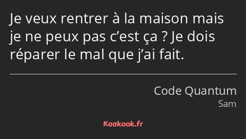 Je veux rentrer à la maison mais je ne peux pas c’est ça ? Je dois réparer le mal que j’ai fait.