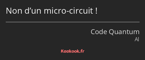 Non d’un micro-circuit !