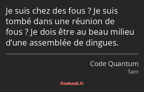 Je suis chez des fous ? Je suis tombé dans une réunion de fous ? Je dois être au beau milieu d’une…