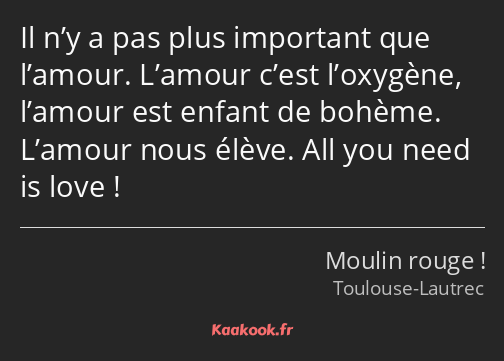 Il n’y a pas plus important que l’amour. L’amour c’est l’oxygène, l’amour est enfant de bohème…