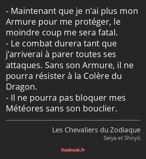 Maintenant que je n’ai plus mon Armure pour me protéger, le moindre coup me sera fatal. Le combat…