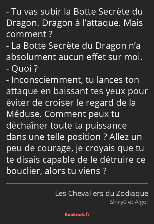 Tu vas subir la Botte Secrète du Dragon. Dragon à l’attaque. Mais comment ? La Botte Secrète du…