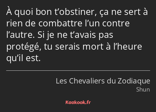 À quoi bon t’obstiner, ça ne sert à rien de combattre l’un contre l’autre. Si je ne t’avais pas…