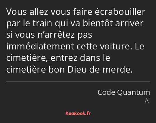 Vous allez vous faire écrabouiller par le train qui va bientôt arriver si vous n’arrêtez pas…