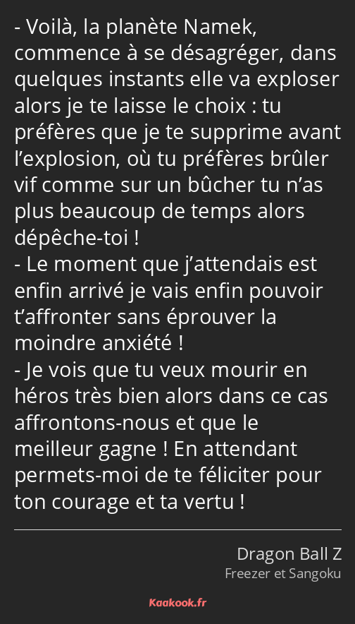 Voilà, la planète Namek, commence à se désagréger, dans quelques instants elle va exploser alors je…