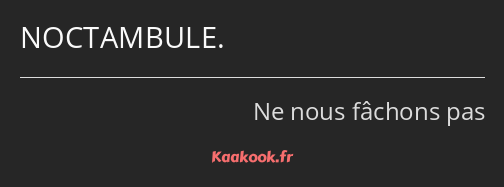NOCTAMBULE.