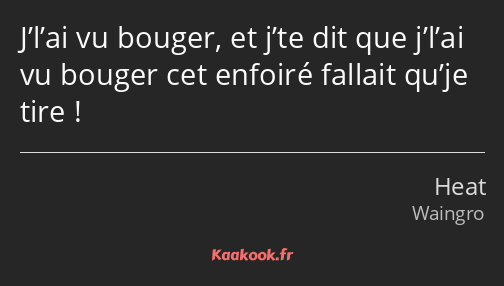 J’l’ai vu bouger, et j’te dit que j’l’ai vu bouger cet enfoiré fallait qu’je tire !
