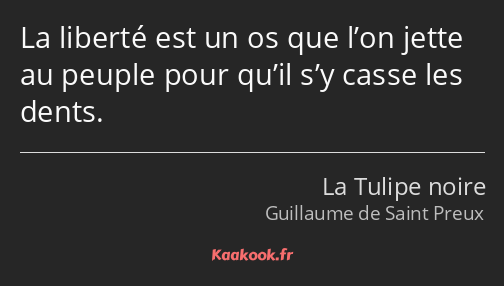 La liberté est un os que l’on jette au peuple pour qu’il s’y casse les dents.