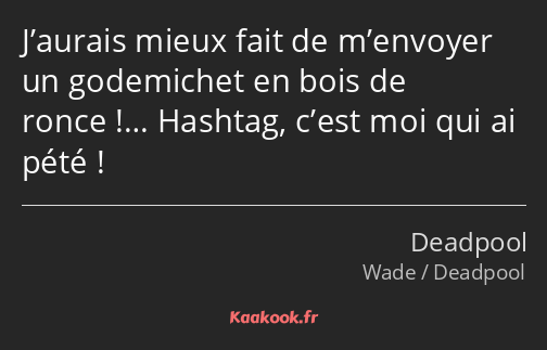 J’aurais mieux fait de m’envoyer un godemichet en bois de ronce !… Hashtag, c’est moi qui ai pété !