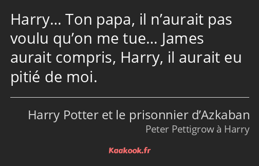 Harry… Ton papa, il n’aurait pas voulu qu’on me tue… James aurait compris, Harry, il aurait eu…