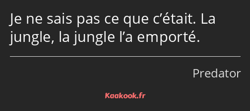 Je ne sais pas ce que c’était. La jungle, la jungle l’a emporté.