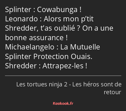 Cowabunga ! Alors mon p’tit Shredder, t’as oublié ? On a une bonne assurance ! La Mutuelle Splinter…