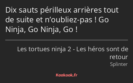 Dix sauts périlleux arrières tout de suite et n’oubliez-pas ! Go Ninja, Go Ninja, Go !