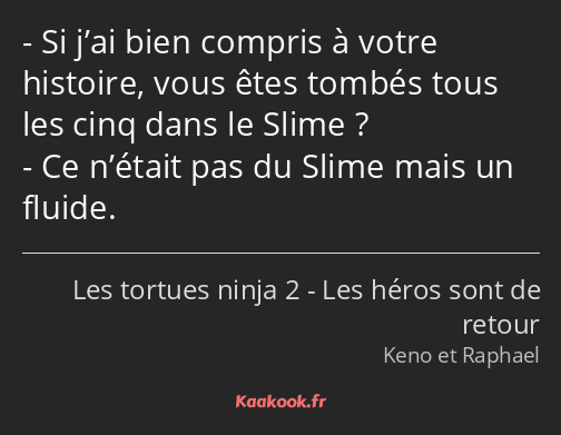 Si j’ai bien compris à votre histoire, vous êtes tombés tous les cinq dans le Slime ? Ce n’était…