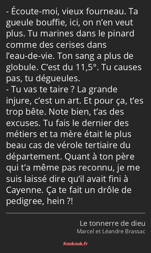 Écoute-moi, vieux fourneau. Ta gueule bouffie, ici, on n’en veut plus. Tu marines dans le pinard…