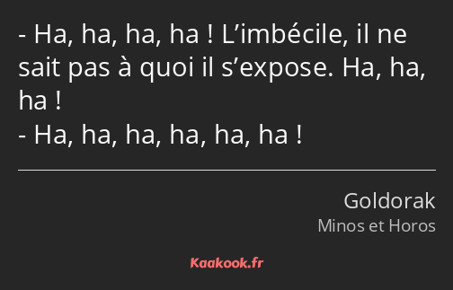 Ha, ha, ha, ha ! L’imbécile, il ne sait pas à quoi il s’expose. Ha, ha, ha ! Ha, ha, ha, ha, ha, ha…