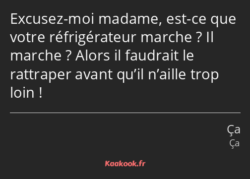 Excusez-moi madame, est-ce que votre réfrigérateur marche ? Il marche ? Alors il faudrait le…