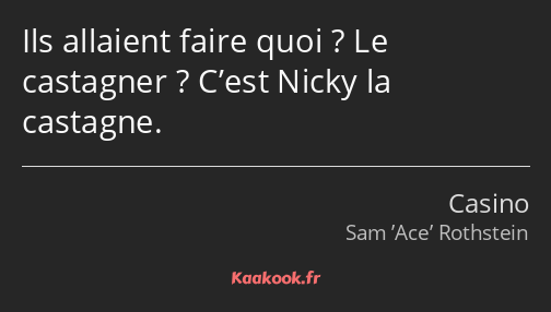 Ils allaient faire quoi ? Le castagner ? C’est Nicky la castagne.
