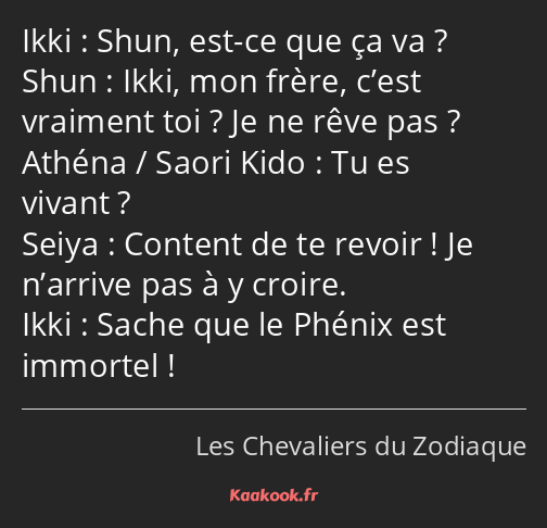 Shun, est-ce que ça va ? Ikki, mon frère, c’est vraiment toi ? Je ne rêve pas ? Tu es vivant…