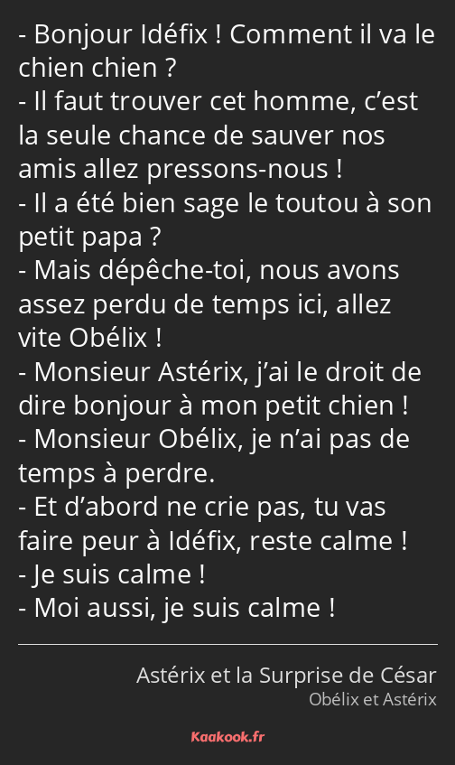 Bonjour Idéfix ! Comment il va le chien chien ? Il faut trouver cet homme, c’est la seule chance de…