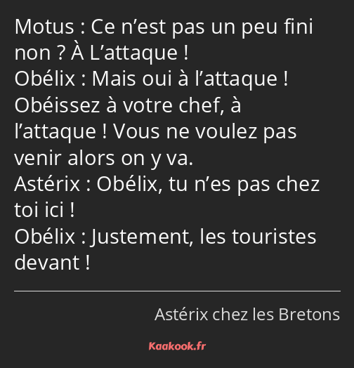 Ce n’est pas un peu fini non ? À L’attaque ! Mais oui à l’attaque ! Obéissez à votre chef, à…
