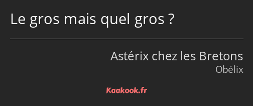 Le gros mais quel gros ?