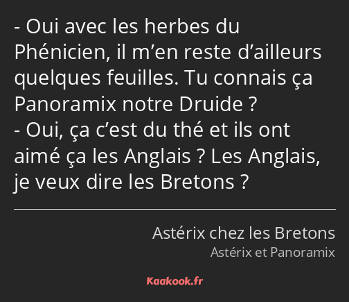 Oui avec les herbes du Phénicien, il m’en reste d’ailleurs quelques feuilles. Tu connais ça…