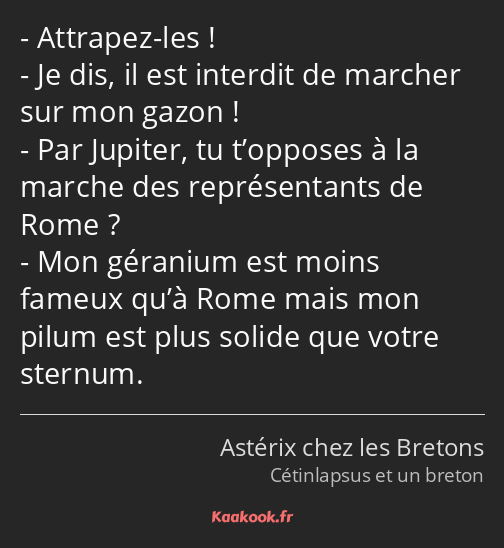 Attrapez-les ! Je dis, il est interdit de marcher sur mon gazon ! Par Jupiter, tu t’opposes à la…