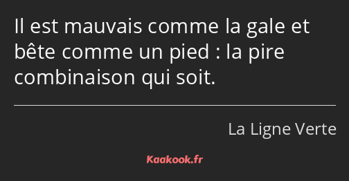 Il est mauvais comme la gale et bête comme un pied : la pire combinaison qui soit.