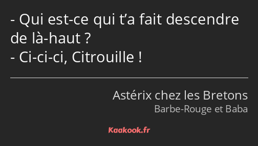 Qui est-ce qui t’a fait descendre de là-haut ? Ci-ci-ci, Citrouille !