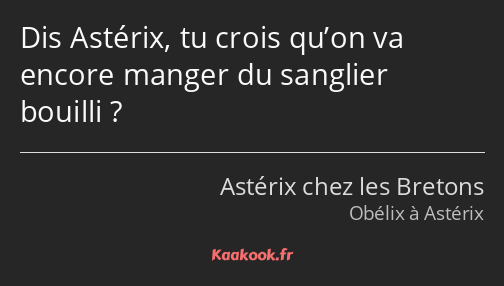 Dis Astérix, tu crois qu’on va encore manger du sanglier bouilli ?