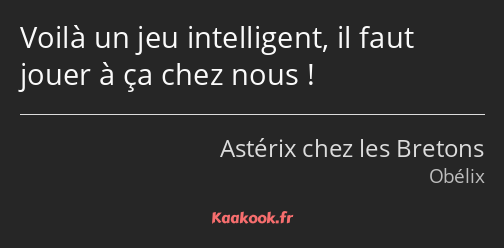 Voilà un jeu intelligent, il faut jouer à ça chez nous !