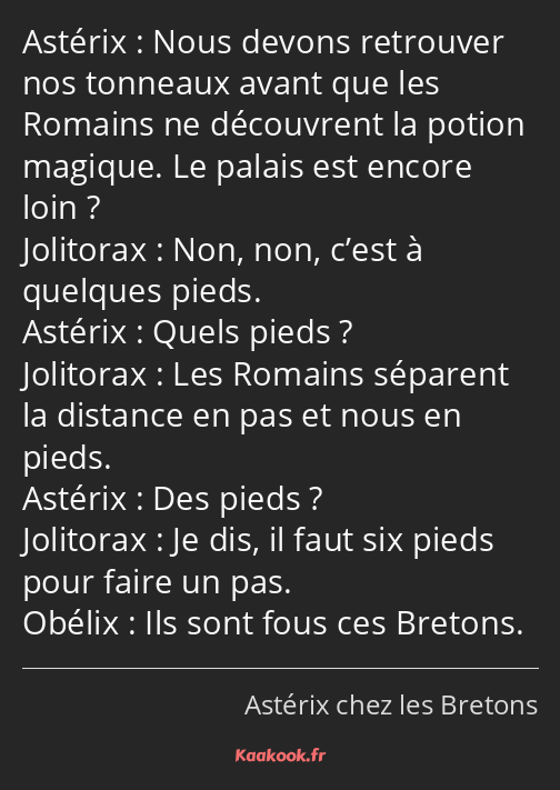 Nous devons retrouver nos tonneaux avant que les Romains ne découvrent la potion magique. Le palais…