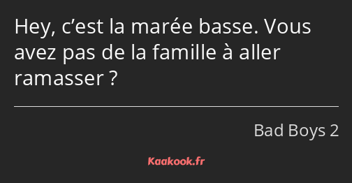 Hey, c’est la marée basse. Vous avez pas de la famille à aller ramasser ?