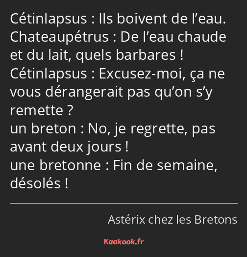 Ils boivent de l’eau. De l’eau chaude et du lait, quels barbares ! Excusez-moi, ça ne vous…