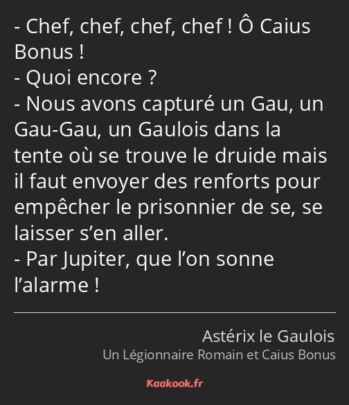 Chef, chef, chef, chef ! Ô Caius Bonus ! Quoi encore ? Nous avons capturé un Gau, un Gau-Gau, un…