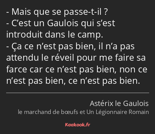 Mais que se passe-t-il ? C’est un Gaulois qui s’est introduit dans le camp. Ça ce n’est pas bien…