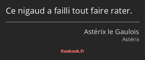 Ce nigaud a failli tout faire rater.