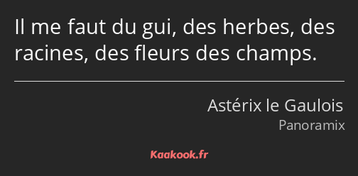 Il me faut du gui, des herbes, des racines, des fleurs des champs.