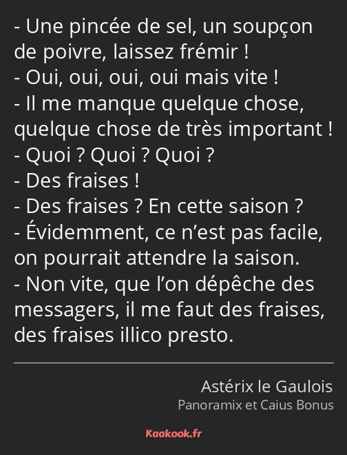 Une pincée de sel, un soupçon de poivre, laissez frémir ! Oui, oui, oui, oui mais vite ! Il me…
